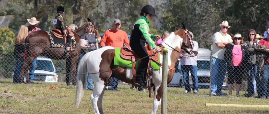 Horse Show